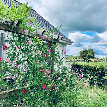 Cargagh Cottage Annacloy Bagian luar foto