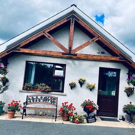 Cargagh Cottage Annacloy Bagian luar foto