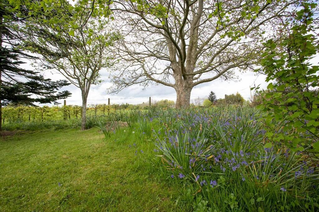 Cargagh Cottage Annacloy Bagian luar foto