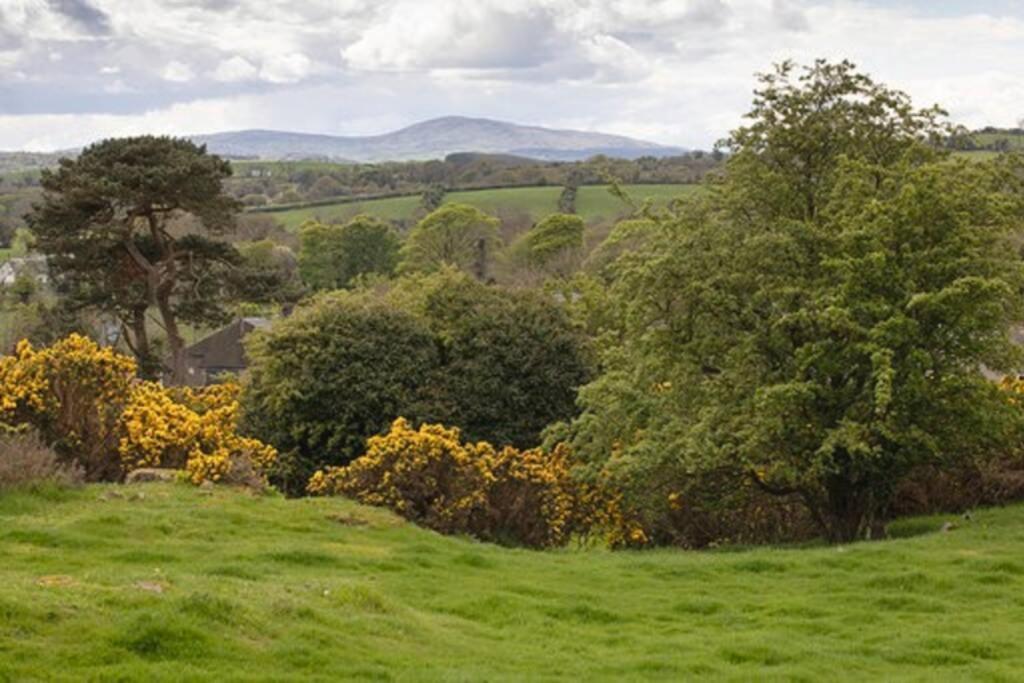 Cargagh Cottage Annacloy Bagian luar foto