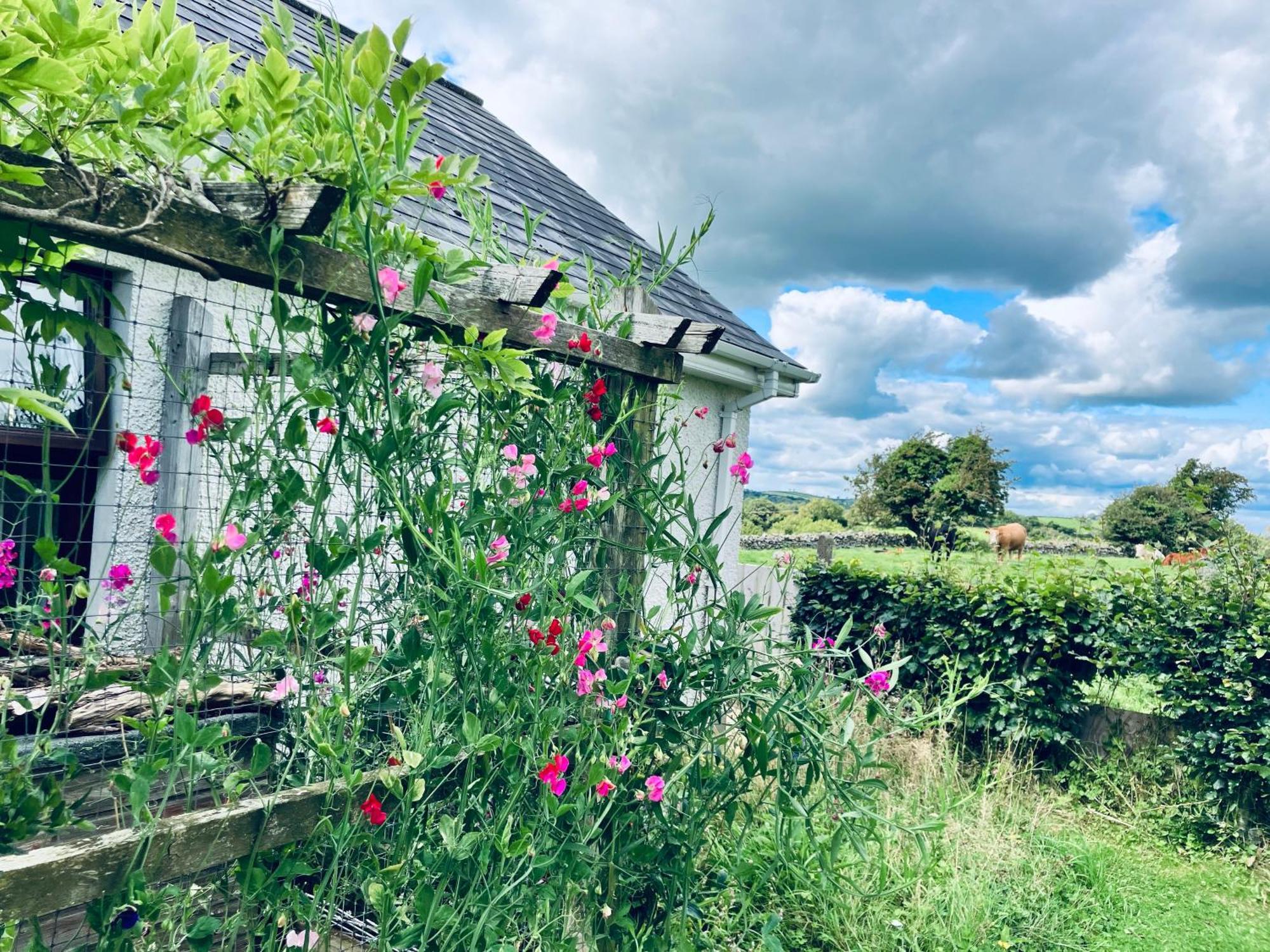 Cargagh Cottage Annacloy Bagian luar foto